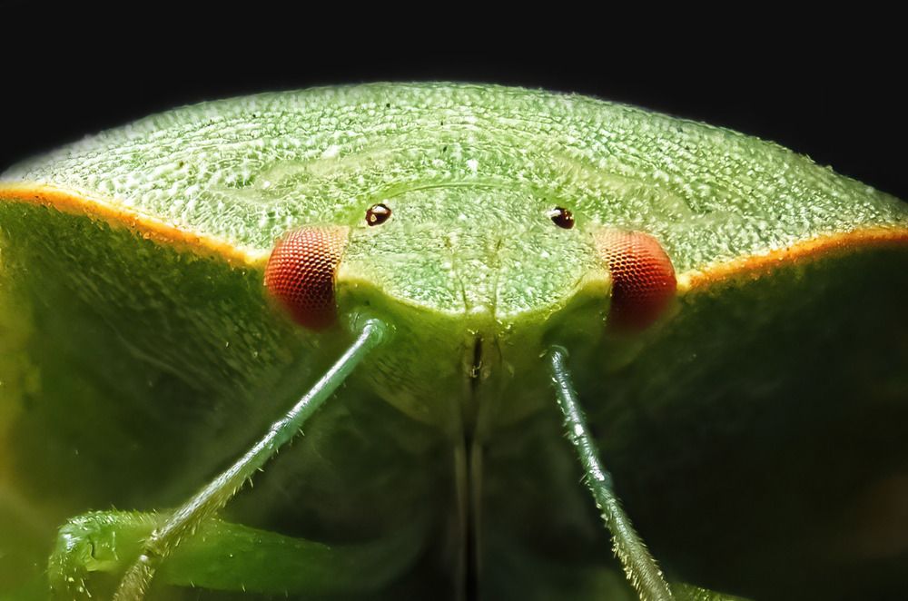 Photograph by Alaa obeid