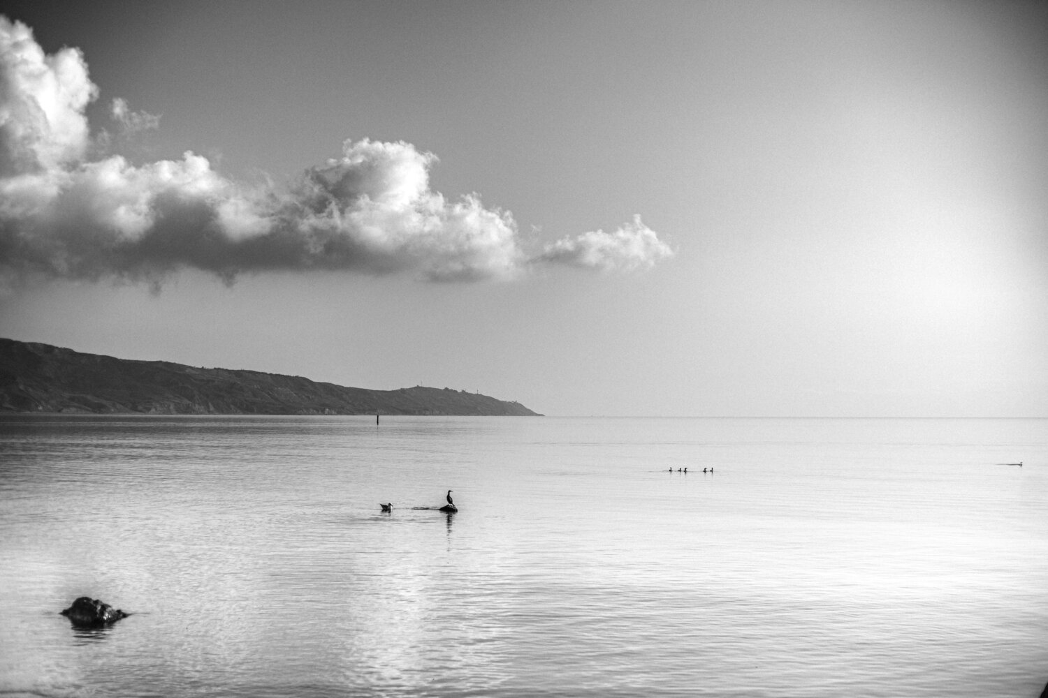 Photo #11042131