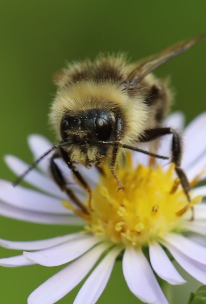 Photograph by Елена Тимченко