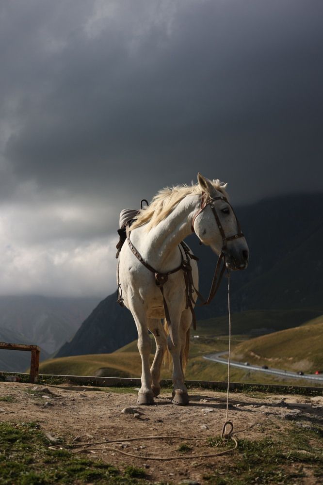 Фотография автора Anastasia