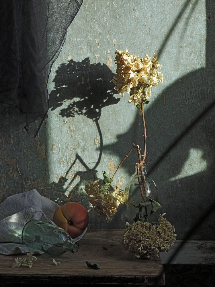 Photograph by Евсеева Валентина