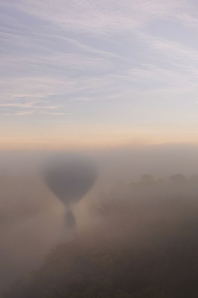 lost in the morning fog