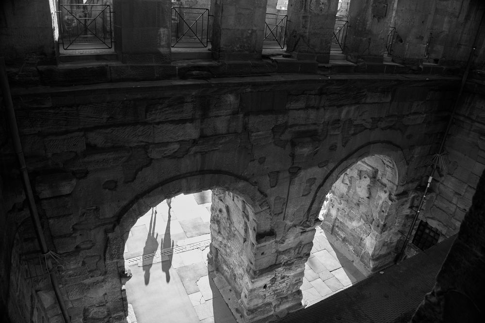 Фотография автора Ekaterina Palant