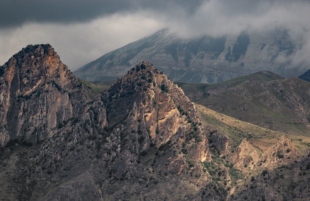 Photograph by Дарья