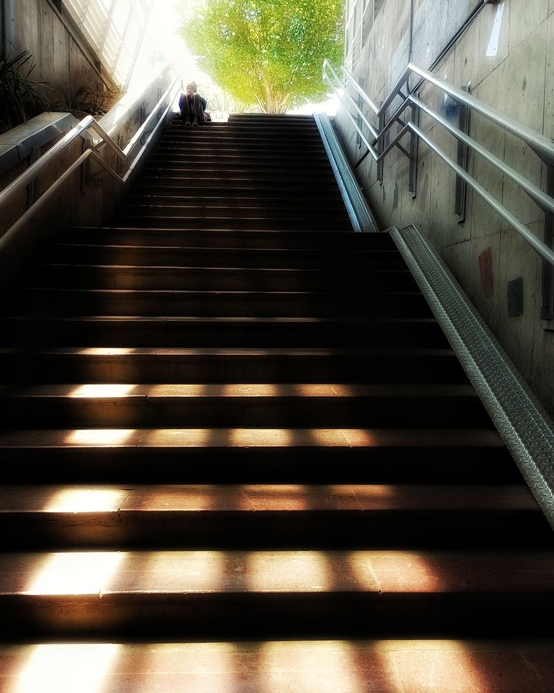 Photograph by Behzad Jourabchi Bokharaei