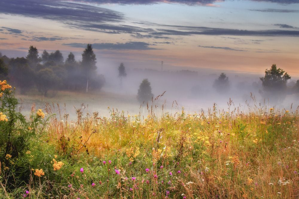 Фотография автора Сережин Сережа
