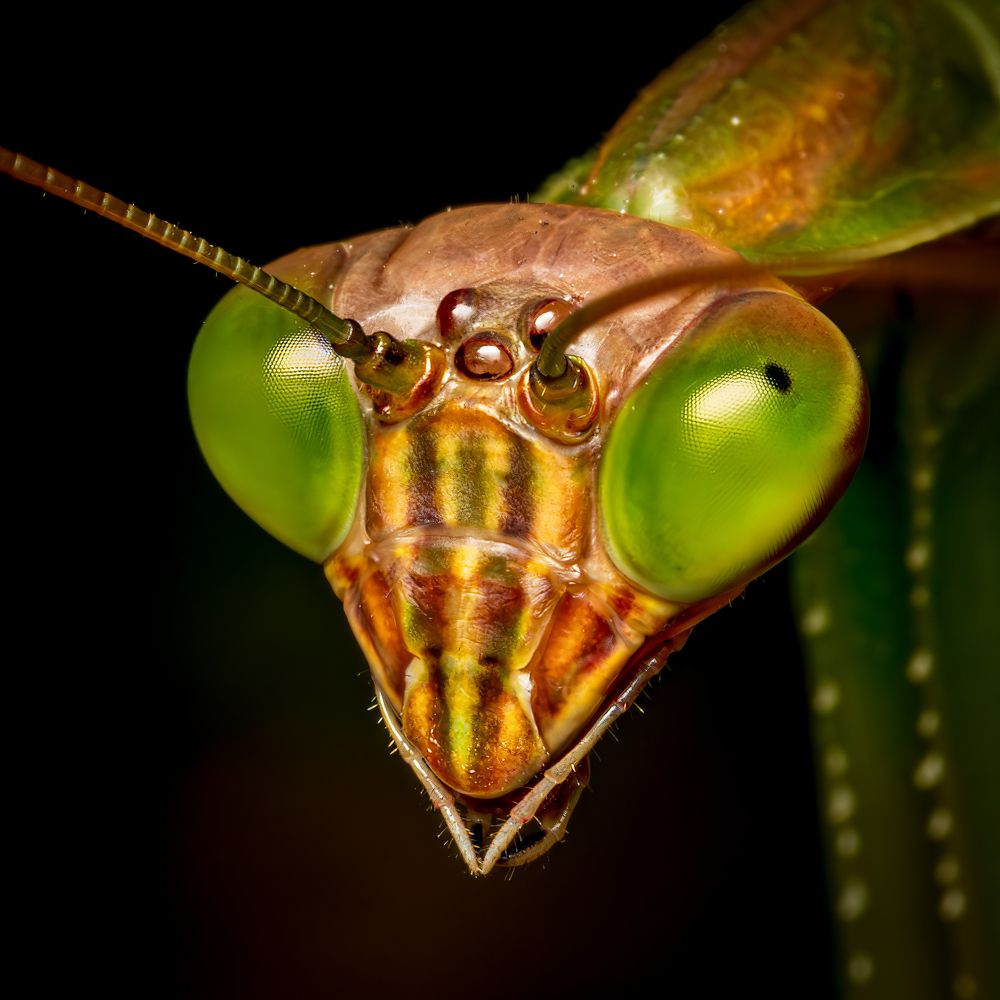 Photograph by Derek Moorse