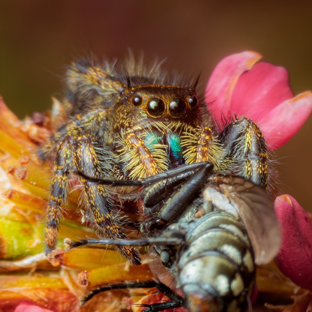 Photograph by Derek Moorse