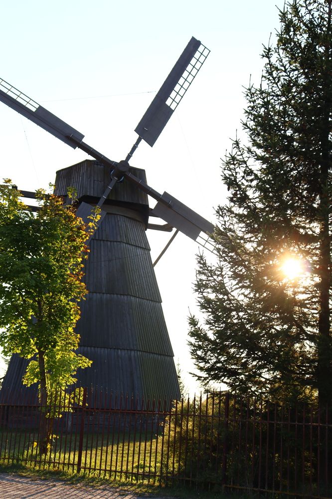 Photograph by Анастасия Селява