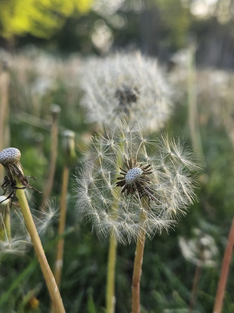 Фотография автора Ангелина Франк