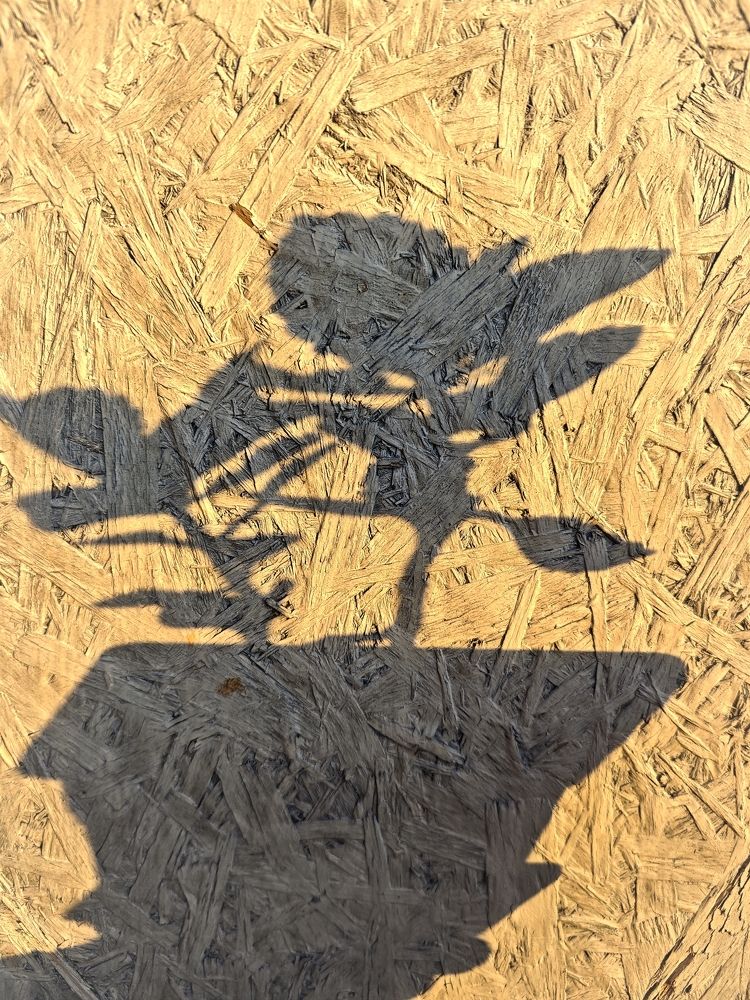 Photograph by Надежда Кангина