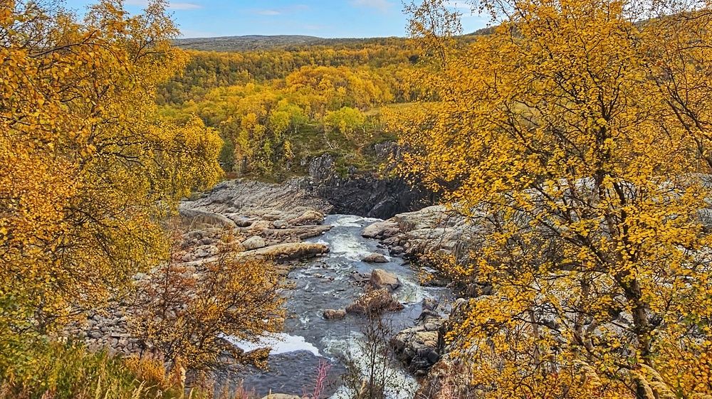 Photograph by Алексей Новиков