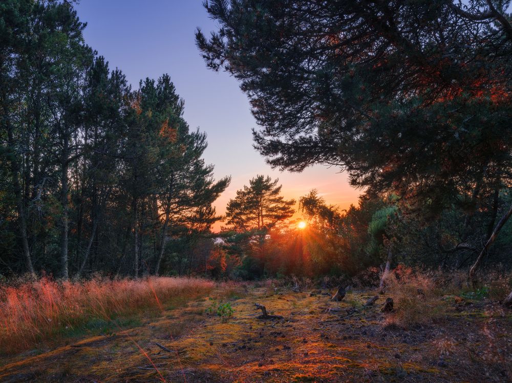 Photograph by Михаил Козлов