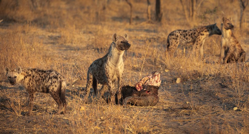 Photograph by Francesca Bullet