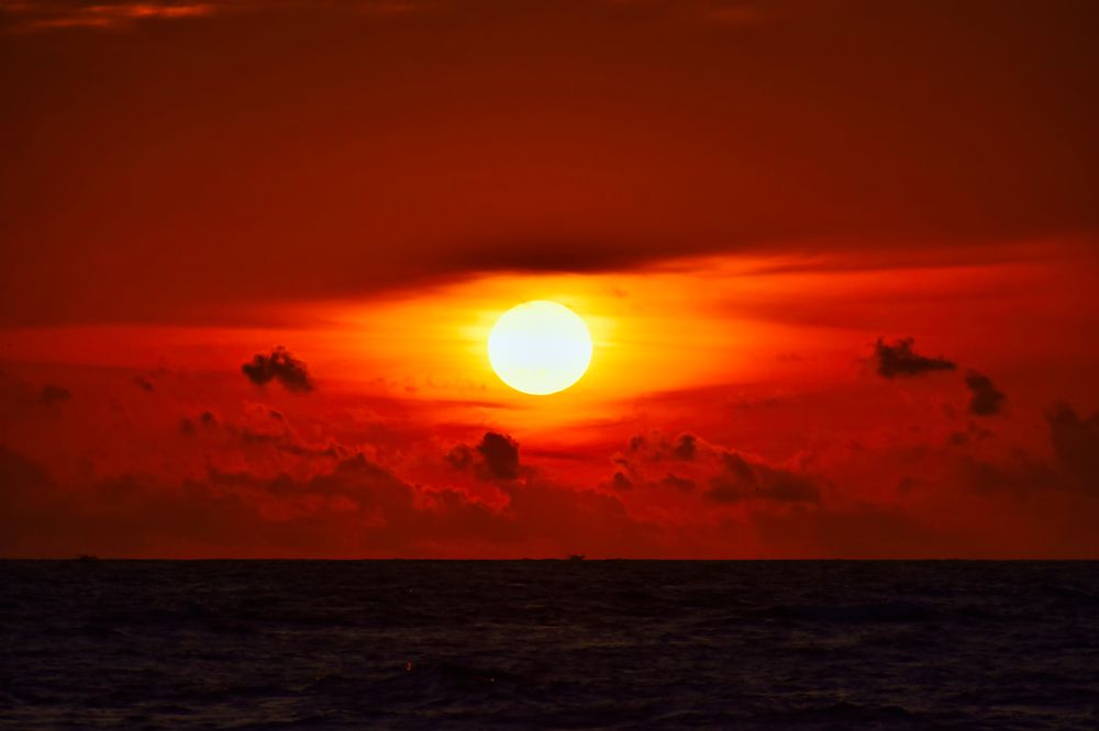 Photograph by Vimal Ram S