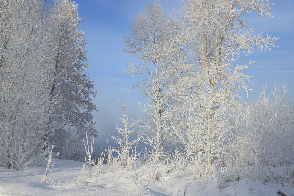 Под зимним солнцем