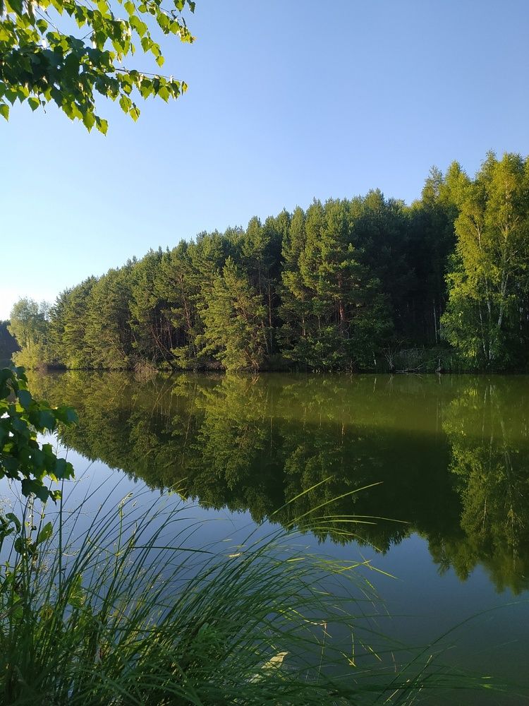 Photograph by Юрий Гордеев