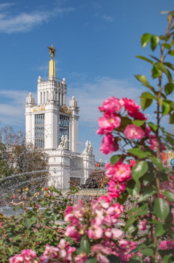 Photograph by Дарья