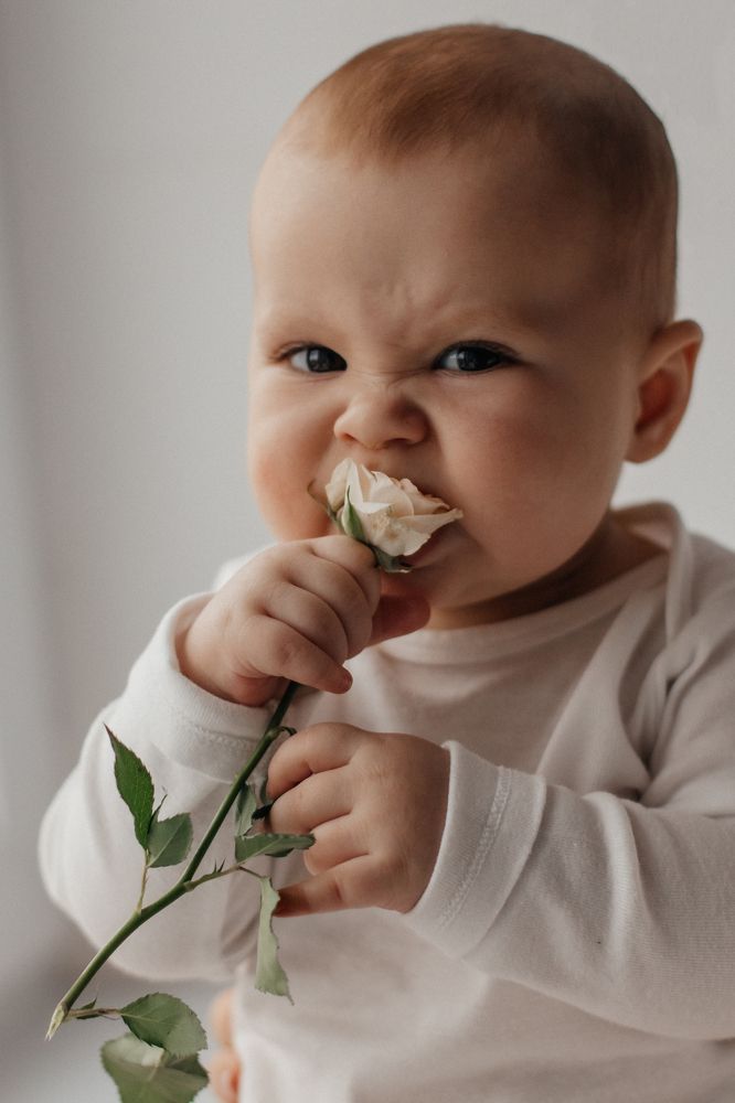 Photograph by Алина Бондарь