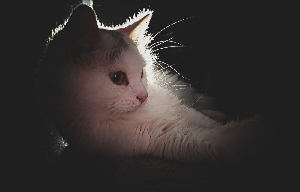 Photograph by Юлия Смирнова