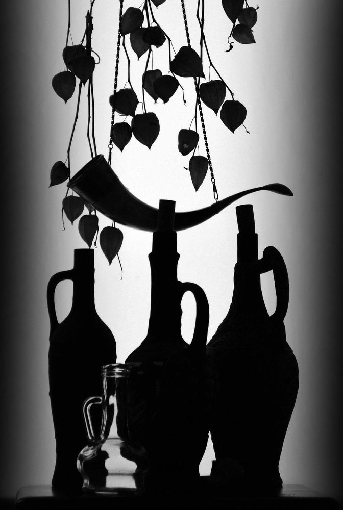 Photograph by Александр Зарх