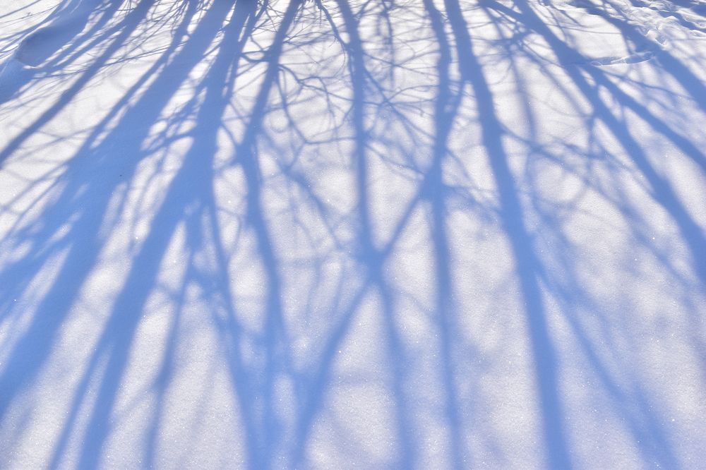 Артерии зимы