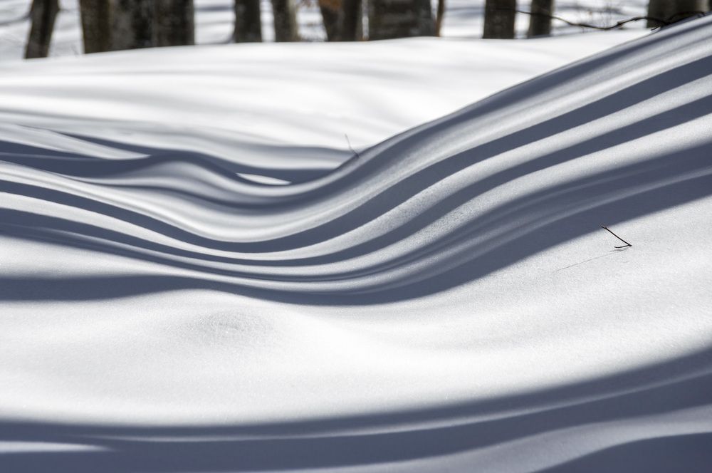 Photograph by Виктор Филипчук