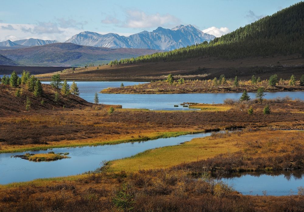 Photograph by Александр Попов