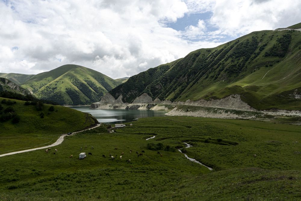 Фотография автора Мария Гомолко