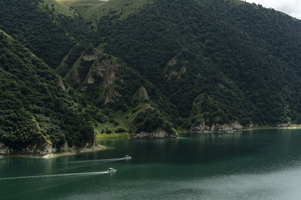 Фотография автора Мария Гомолко