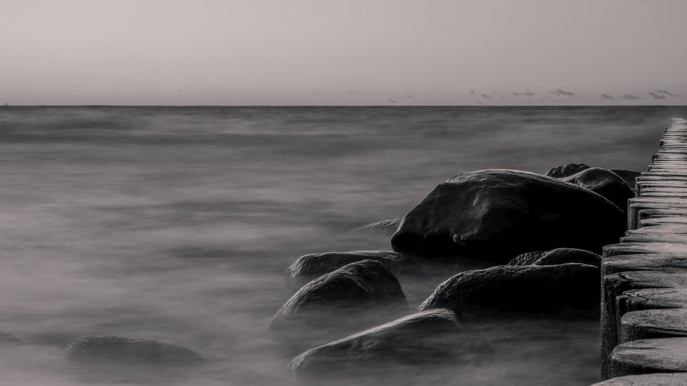 Фотография автора Медведева Елена