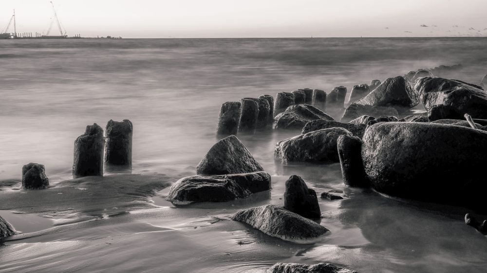 Фотография автора Медведева Елена