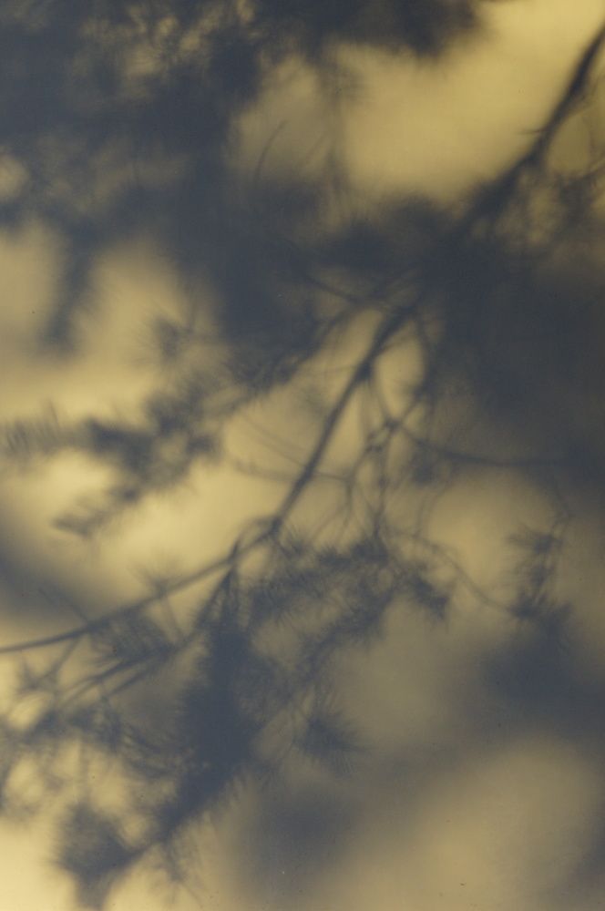 Photograph by Ольга Слугина