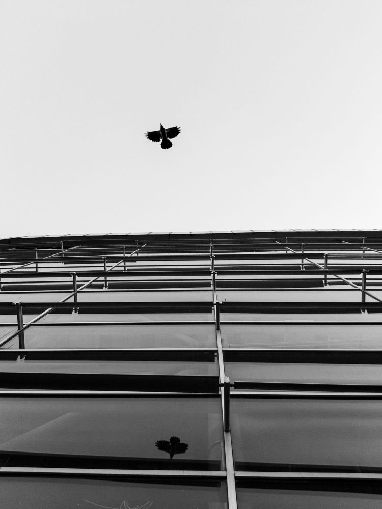 Photograph by Ehsan Fathi