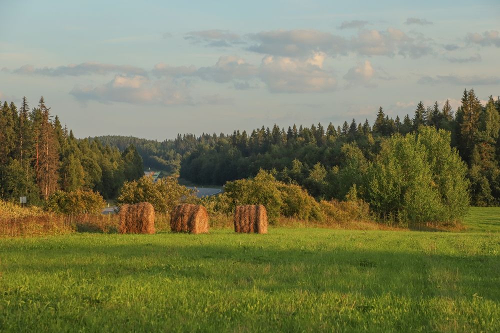 Photograph by Юлия Яковлева