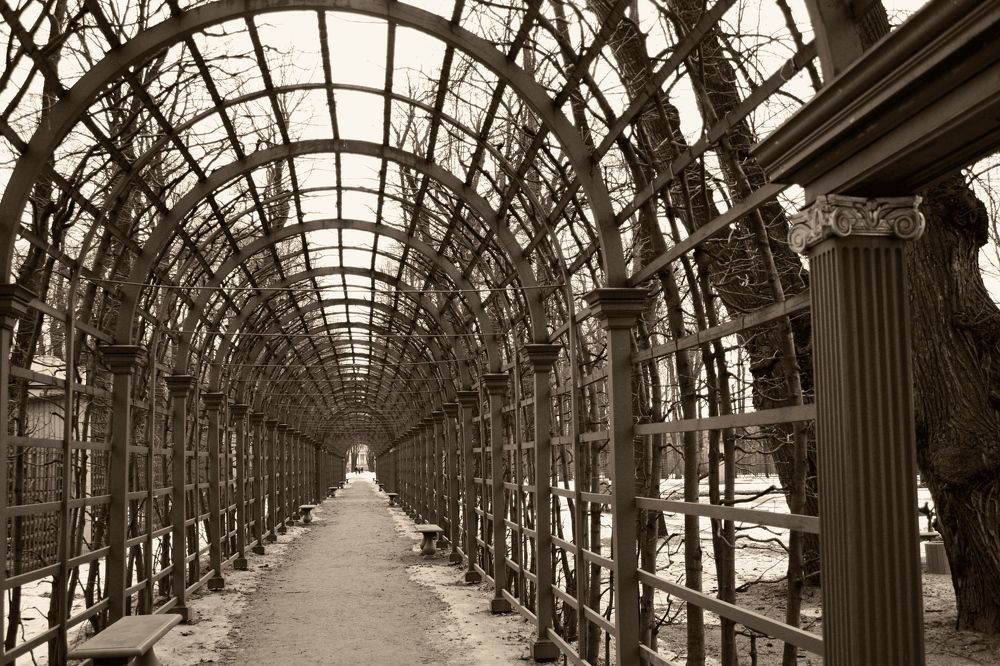 Photograph by Татьяна Кормщикова