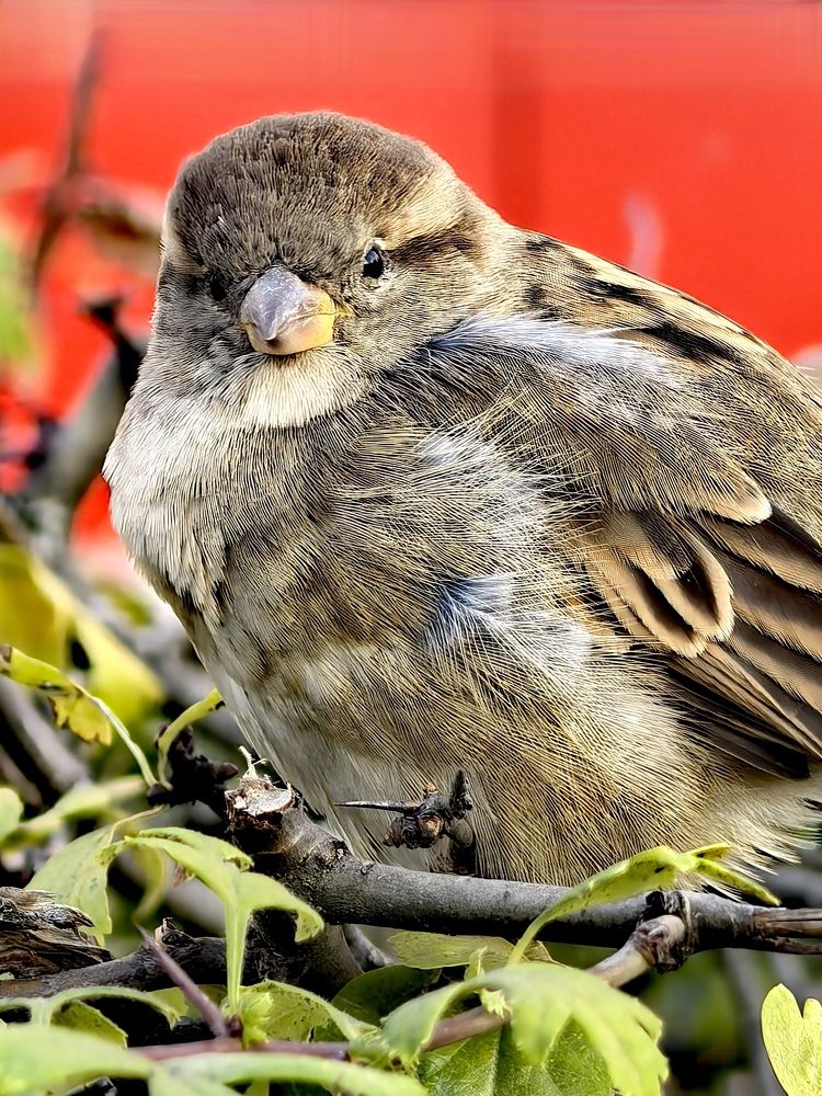 Photograph by Анна Епанчинцева
