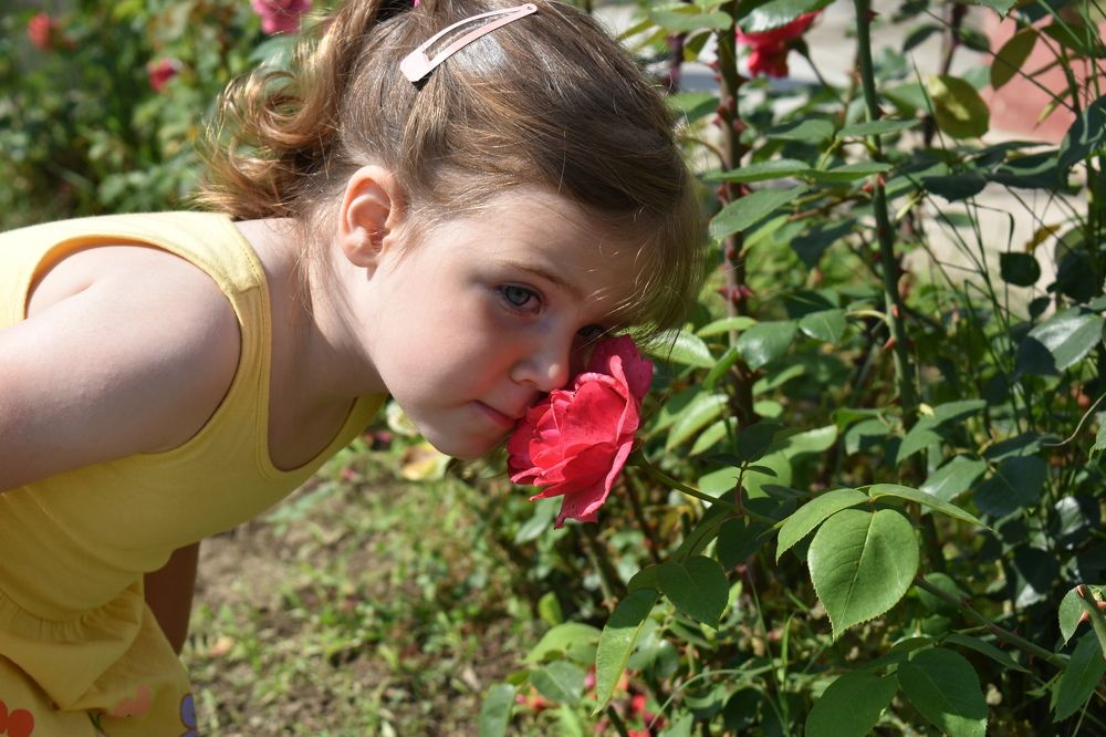 Photograph by Милан Ђорђевић