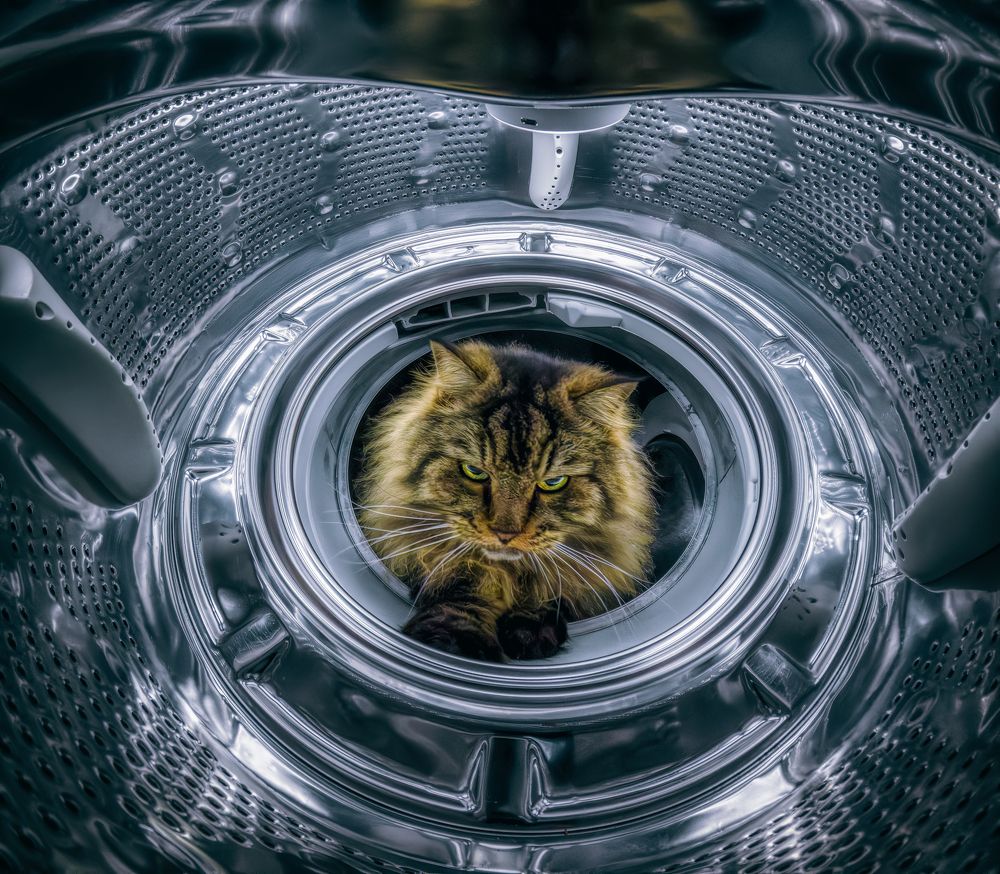 Photograph by Sara Jazbar