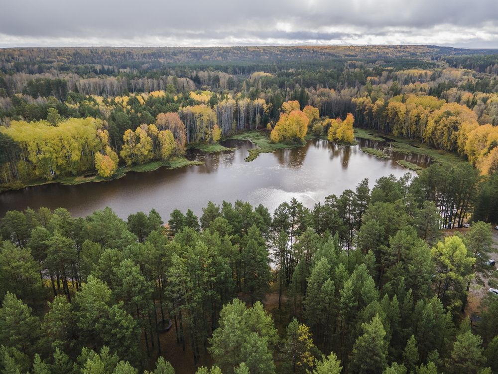 Photograph by Галина Михоношина