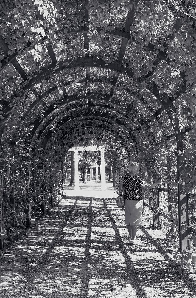 Photograph by Надежда Пухова