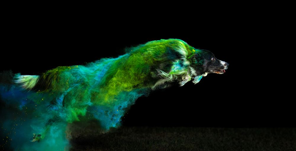 Photograph by Sara Jazbar