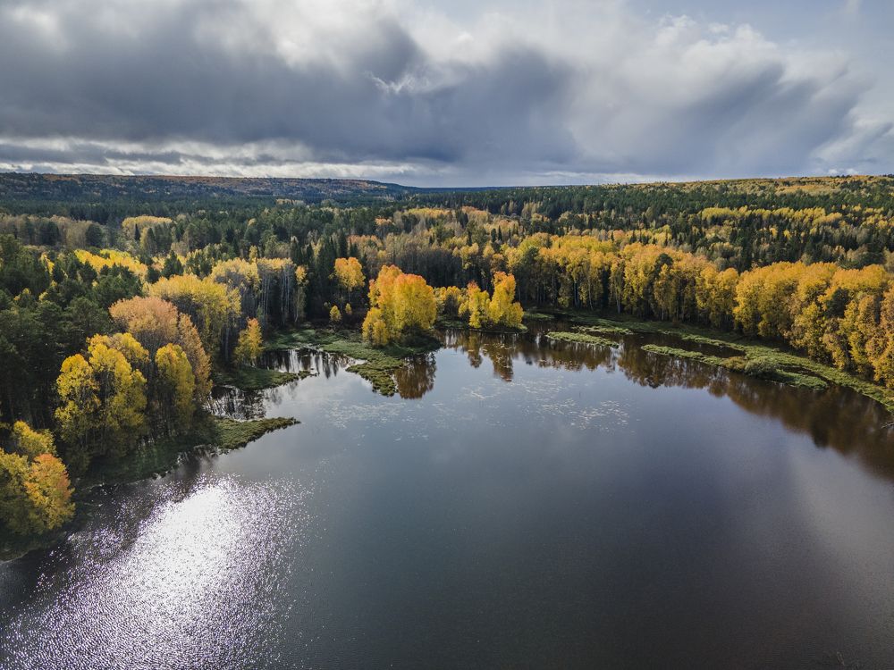 Photograph by Галина Михоношина