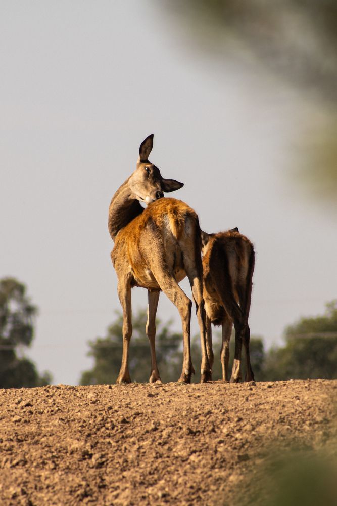 Фотография автора Anna Tikka