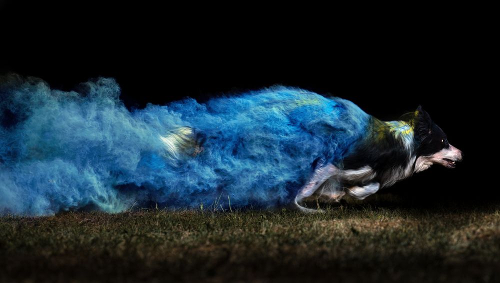 Photograph by Sara Jazbar