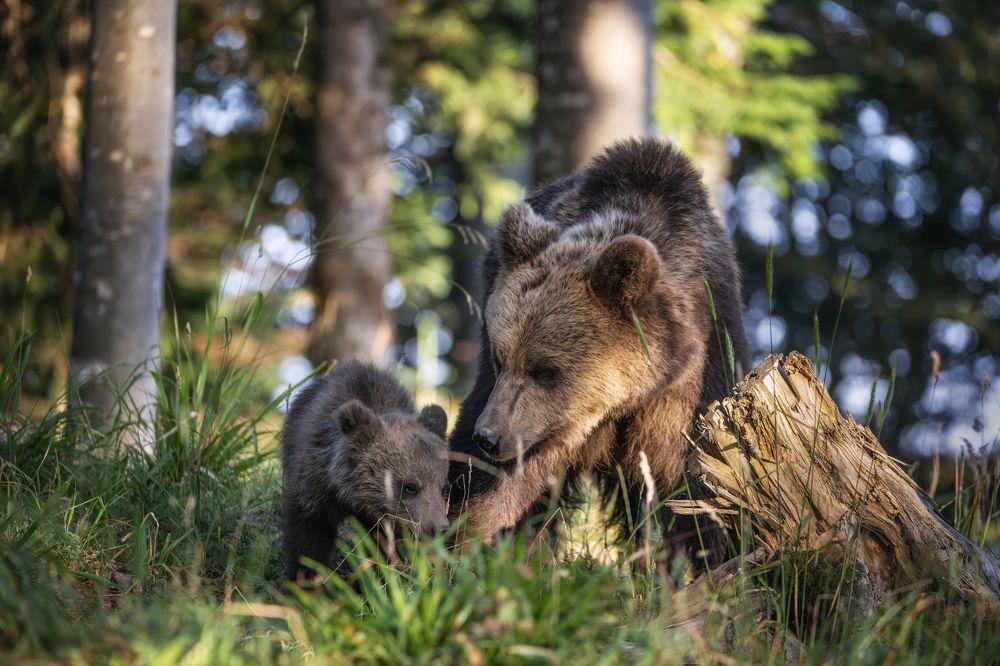 Photograph by Sara Jazbar