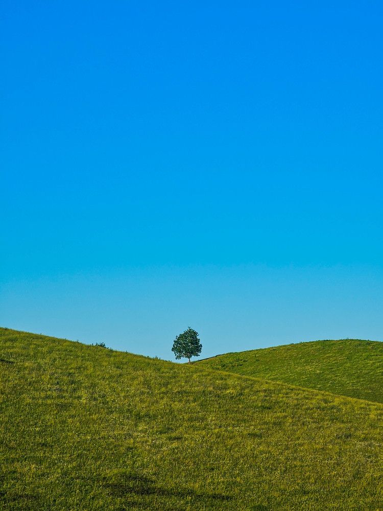 Photograph by юля