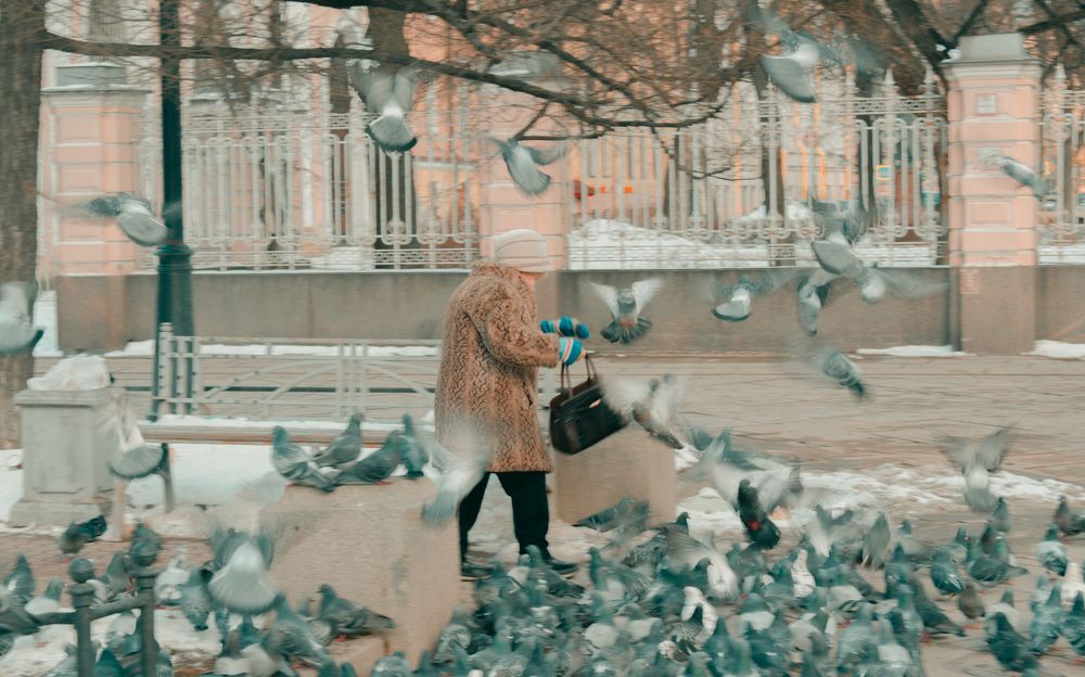 Photograph by Владислав Гриднев