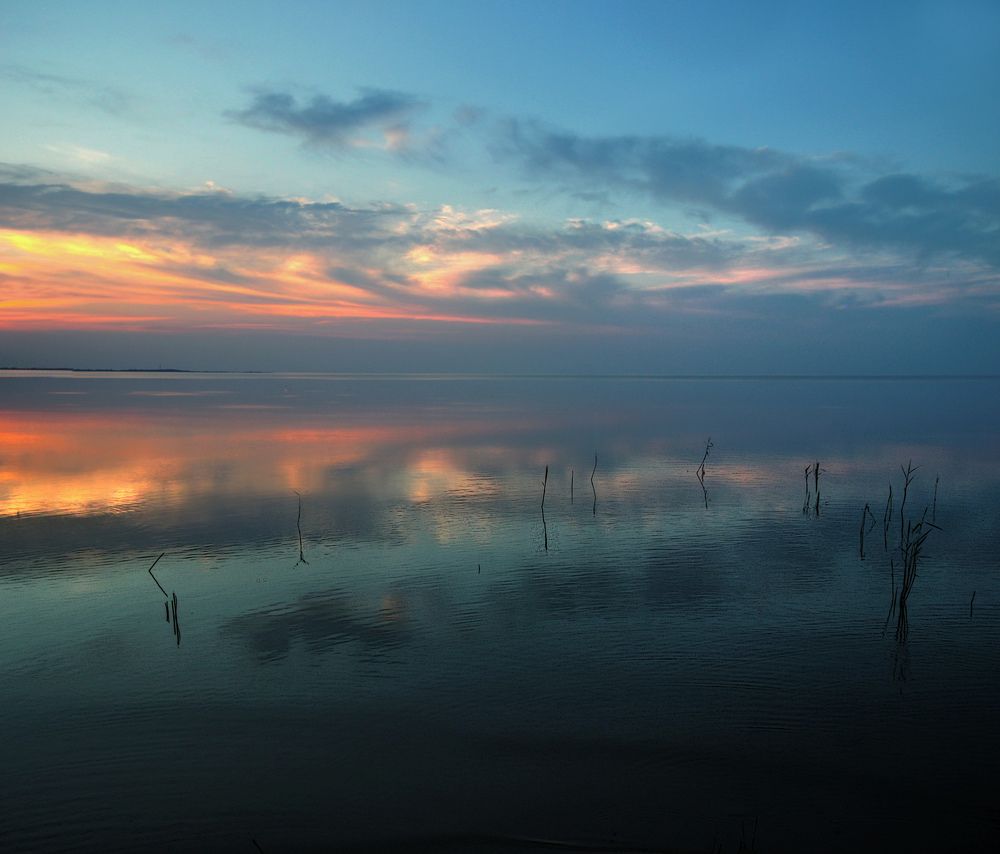 Photograph by 