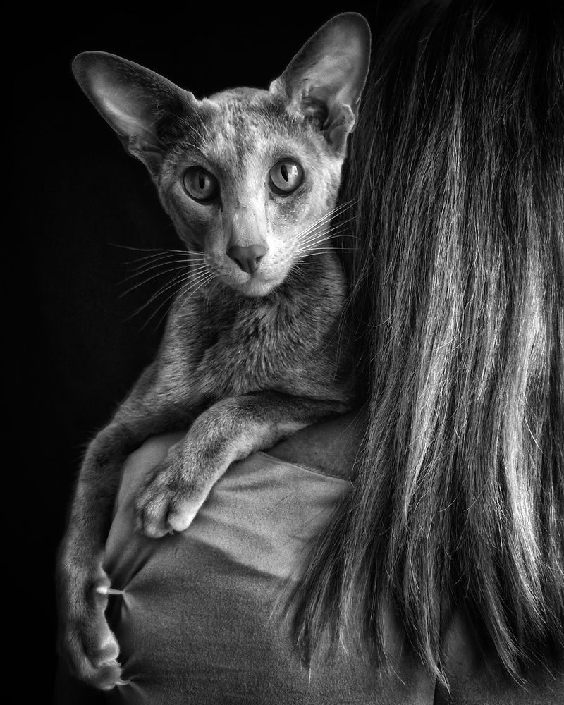 Photograph by Ольга Ревина